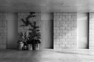 Alvarium (vista exterior)